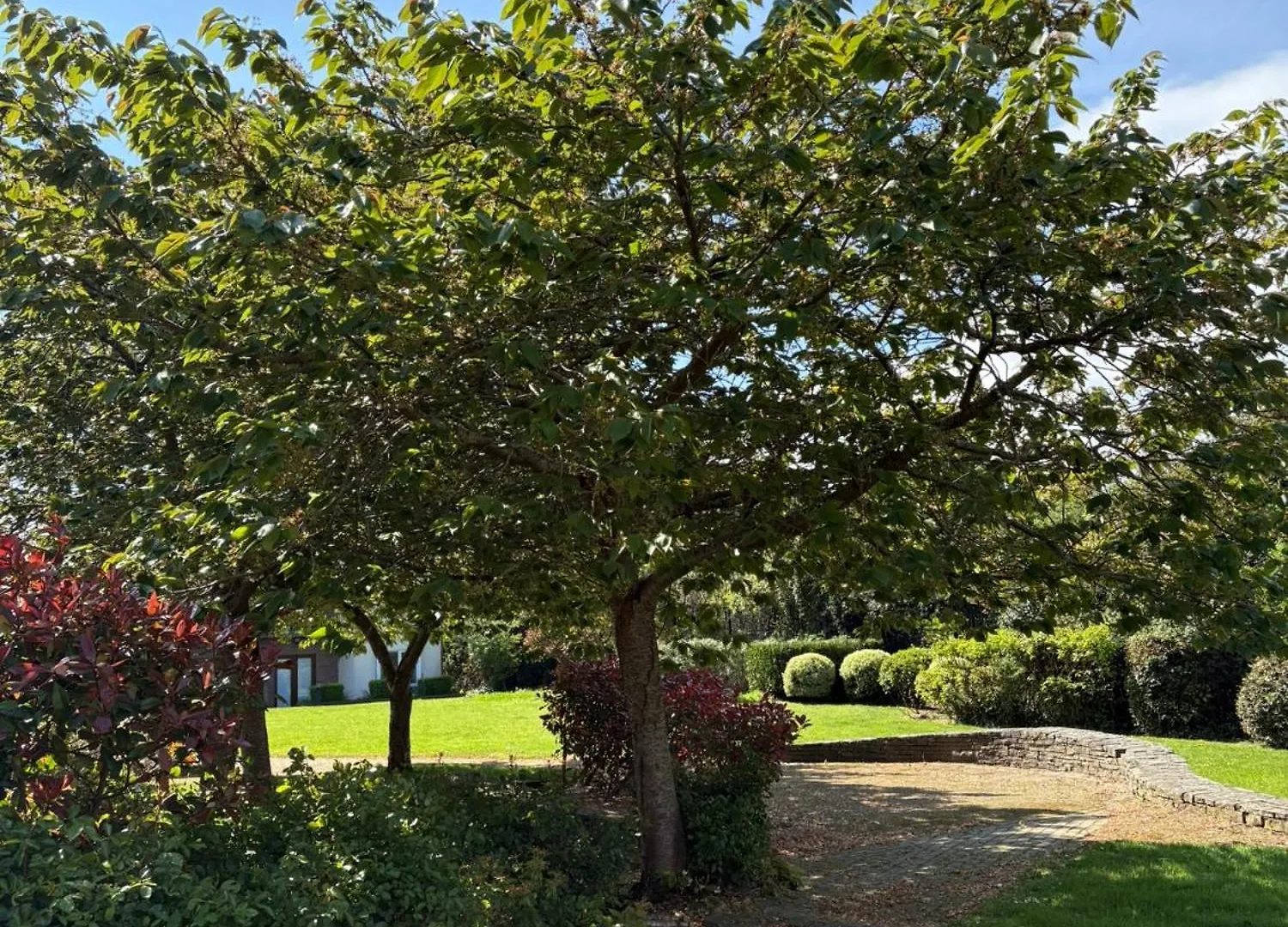 Cosy 2-Bedroom Apartment Near Airport Dublin